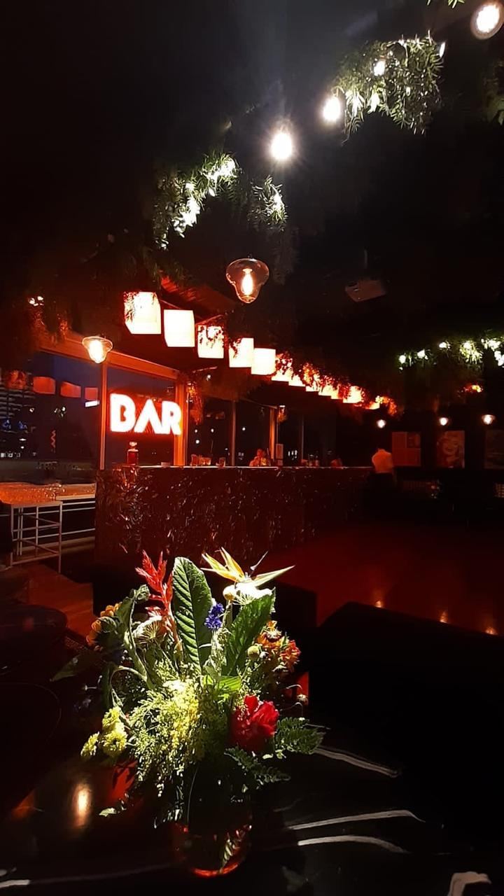 Sector Barra con Cubos y Vegetación