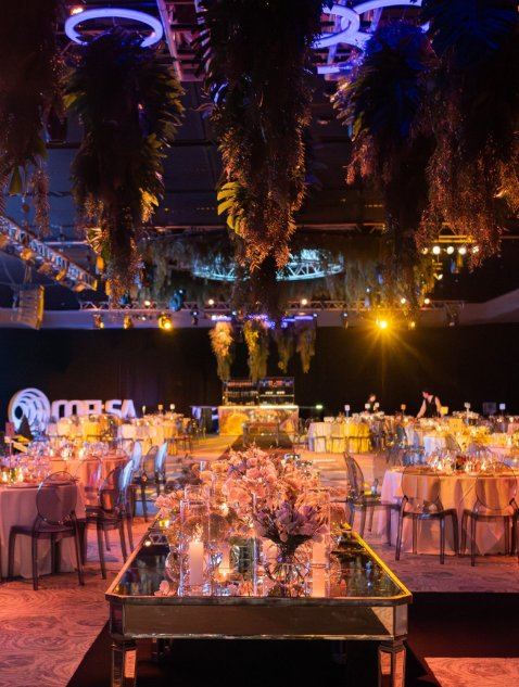 Composición Vegetal Aérea